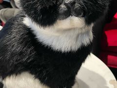 -屋有岛沉浸游戏旗舰店(中山公园店)