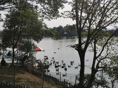 -艾溪湖湿地公园