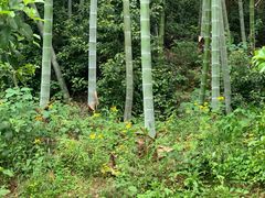 -兰亭风景区