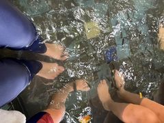 -江门古兜温泉小镇