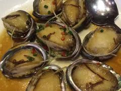 -明珠海港大酒店