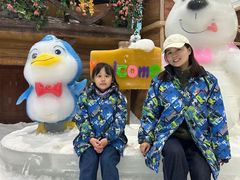 -世界之窗阿尔卑斯冰雪世界