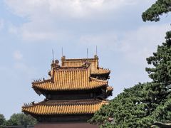 -北陵公园