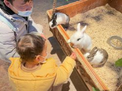 -酷嗒动物文化乐园(cutezoo西溪乐天城店)