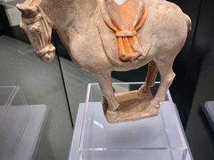 -隋唐大运河文化博物馆