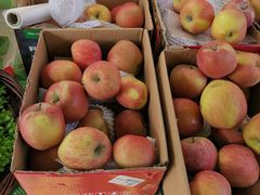 -百果园(万科金悦香树店)