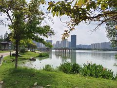 -飞来湖湿地公园
