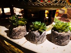 -半坡九号老挝冰咖啡