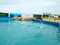 -三亚海昌梦幻海洋不夜城