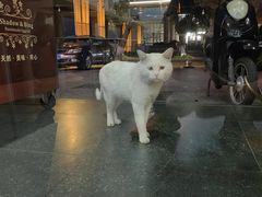 -雪多冰·台湾甜品(高升店)