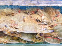 -港畔赶海蒸汽海鲜烧烤自助(仙螺岛店)
