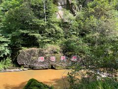 -茅兰沟国家森林公园