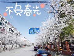 -永乐路-路侧停车场