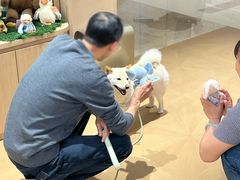 -龙湖重庆时代天街