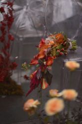 -琥珀婚礼策划AMBER WEDDING