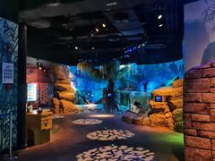 -沈阳海洋探索中心