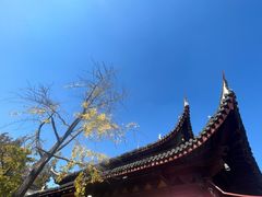 -龙华寺