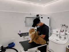 -comecome来吧宠物(奥克斯中心店)