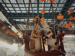 -猫小院猫主题咖啡厅(北锣店)