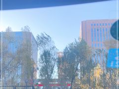 -长春世界雕塑园冰雪艺术天地