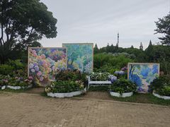 -无锡蠡湖国家湿地公园-蠡园