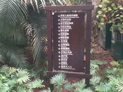 环境-龙达温泉生态城