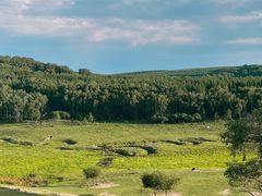 -塞罕坝国家级自然保护区