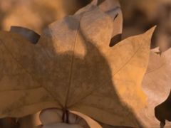 -T80科技文化国际社区-停车场