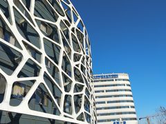 -首都医科大学附属北京天坛医院