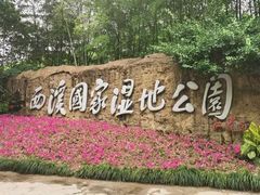 -西溪国家湿地公园