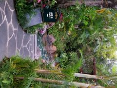 android_upload_pic-广州锦绣香江度假别墅