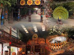 -呀路古热带植物园