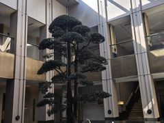 -外滩·云南人家(昆明旗舰店)