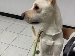 -美联众合动物医院·24h转诊中心