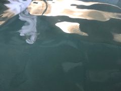 -青岛海泉湾度假区温泉