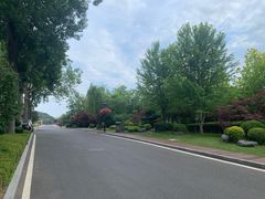 -棒棰岛宾馆景区