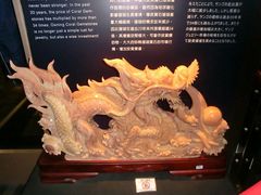 -绮丽珊瑚(台北101旗舰门市店)