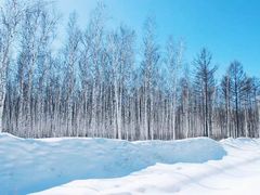 -北极村旅游风景区