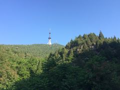 iphone_upload_pic-府君山公园