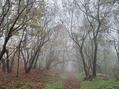 -虞山风景区