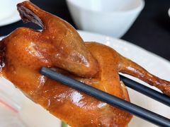 -云门锦翠(商鼎国际店)