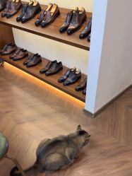 -优刻西服西装定制(金轮国际广场店)