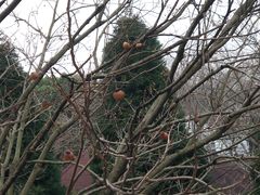 -上海银珠苑度假村-地面停车场