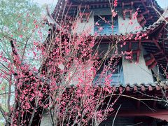 -成都杜甫草堂博物馆