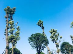 -枫香湖儿童公园