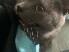 -申普宠物医院·眼科·心内科·影像科(普陀分院)