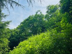 -秦岭终南山世界地质公园翠华山景区