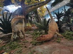 -湖南省地质博物馆