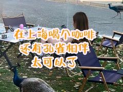 -J Create城市露营咖啡·简餐·宠物(上海动物园店)