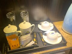 -长沙小天鹅戴斯酒店